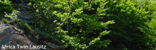 Africa Twin Lausitz