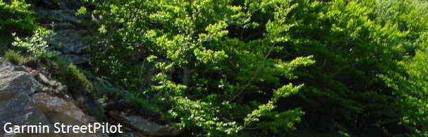 Garmin StreetPilot