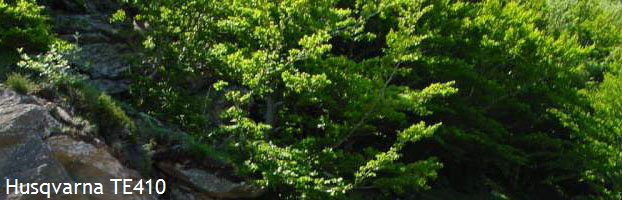 Husqvarna TE410