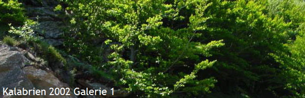 Kalabrien 2002 Galerie 1